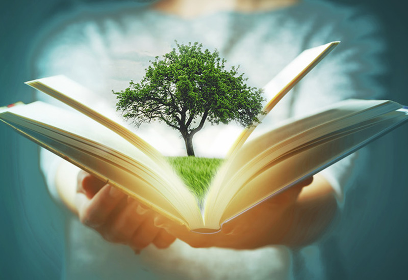 Your contact persons Zehnder Clean Air Solutions